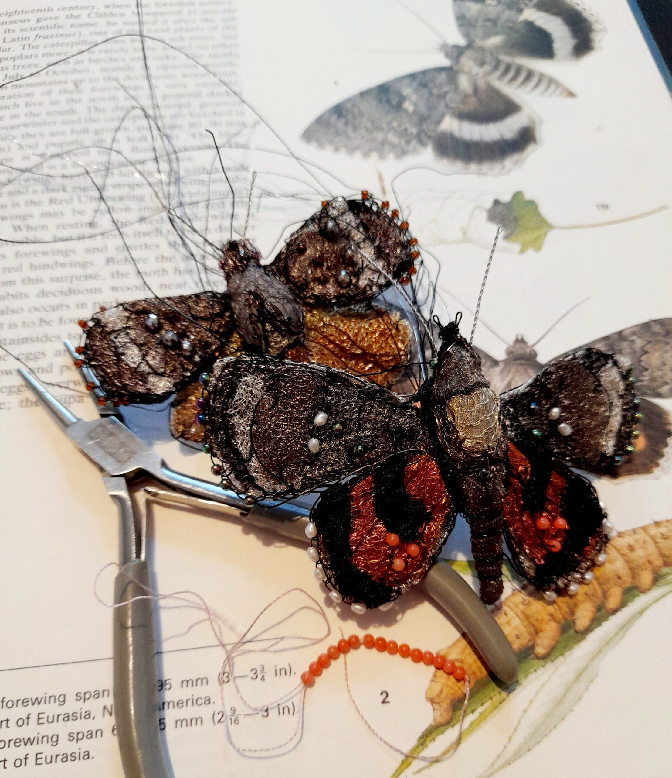 Susan Horth – work in progress for Insect Odyssey