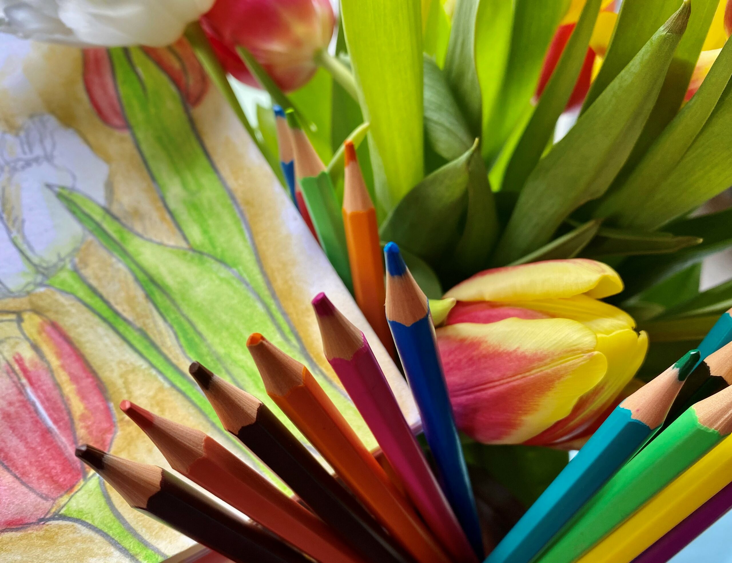 Spring art with Emma Kerr