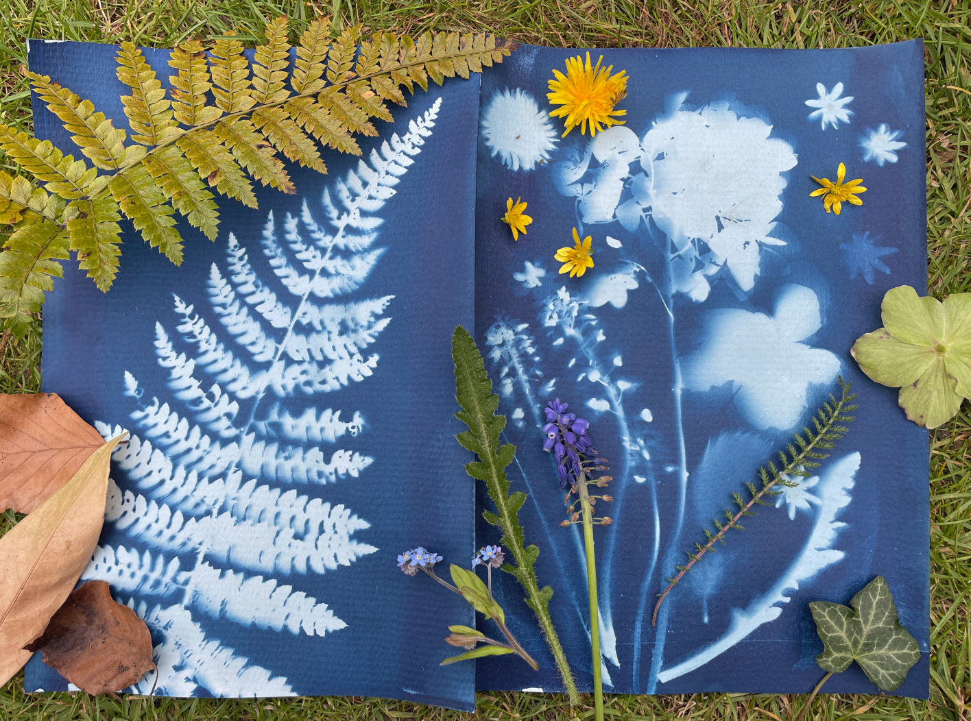 Sun Flowers, Charlie James Wshop image